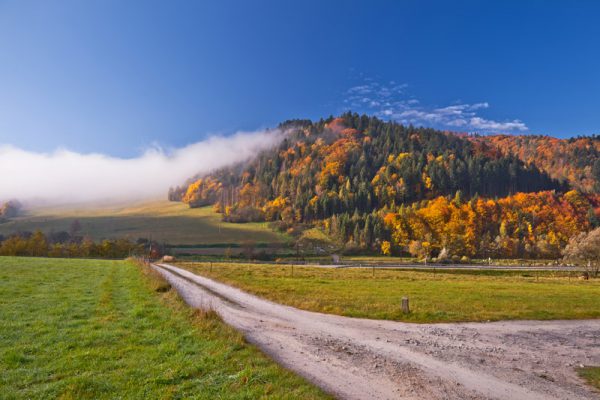 Fotoobraz –  Jesienny Zubrzyk w Dolinie Popradu #5344