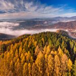 Fotoobraz – Dolina Popradu nad Muszyną z góry Malnik jesienią #05430